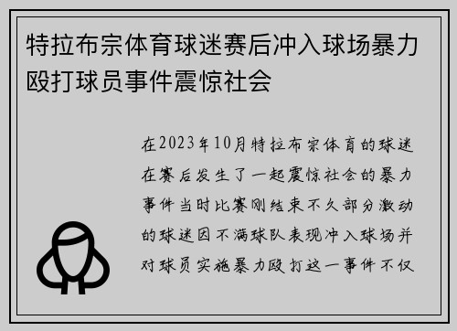 特拉布宗体育球迷赛后冲入球场暴力殴打球员事件震惊社会